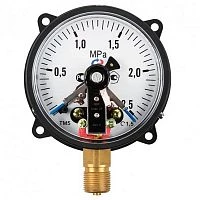 ТМ-510РКТ.05(0-2,5)МPa.М20х1,5.1,5 ЭКМ исп.V Фланец УТ000014991
