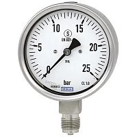 232.50.100 250 bar G1/2" Нерж.Сухой УТ000002617